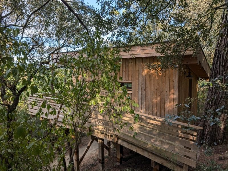 Cabane en bois perchée dans les arbres, entourée de verdure luxuriante.