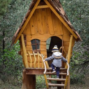 Lescabanesdanslesbois nature insolite carcassonne paniers repas activités domaine (12)