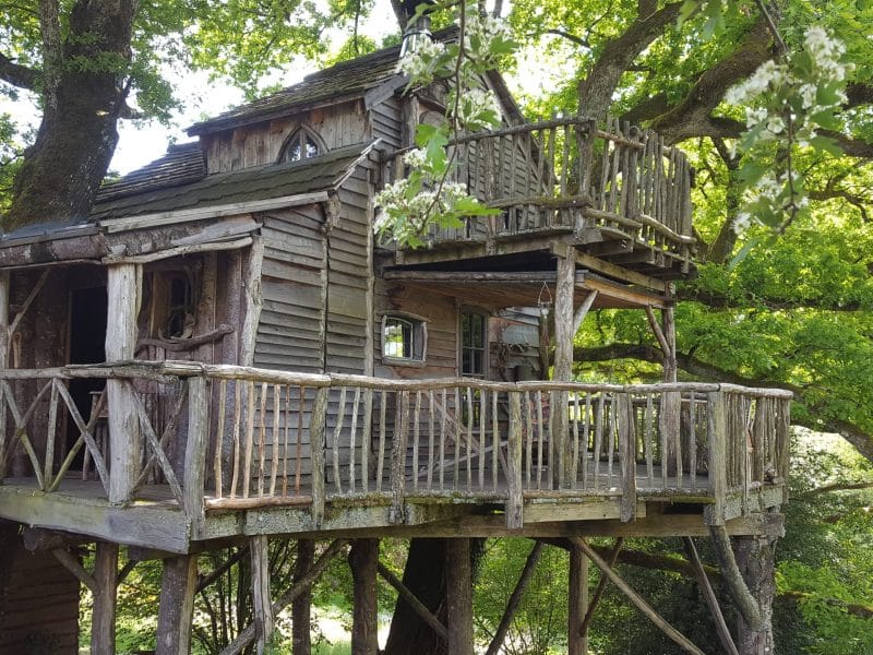 Cabane perchée dans les arbres, avec une terrasse en bois entourée de verdure.
