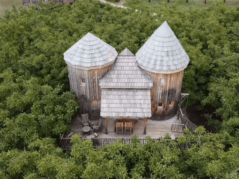 Hébergement insolite en forme de tour en bois, entouré de verdure luxuriante.