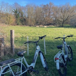 Hébergement en pleine nature avec vélos électriques et vue sur un champ verdoyant.