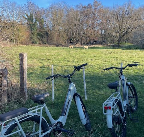 Hébergement en pleine nature avec vélos électriques et vue sur un champ verdoyant.