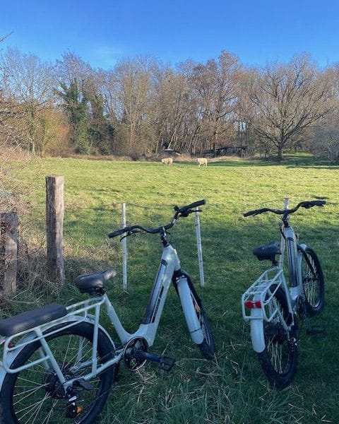 Hébergement en pleine nature avec vélos électriques et vue sur un champ verdoyant.