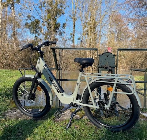Vélo électrique près dun hébergement au bord de leau, entouré de verdure.