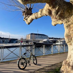 Hébergement en bord de rivière, vélo stationné sous un arbre majestueux.