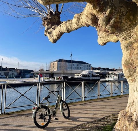Hébergement en bord de rivière, vélo stationné sous un arbre majestueux.