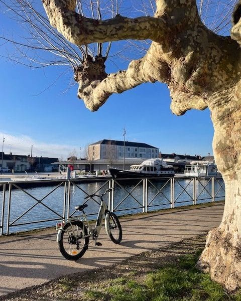 Hébergement en bord de rivière, vélo stationné sous un arbre majestueux.