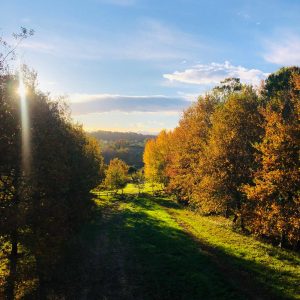 PHOTO-2025-11-19-16-37-33 4