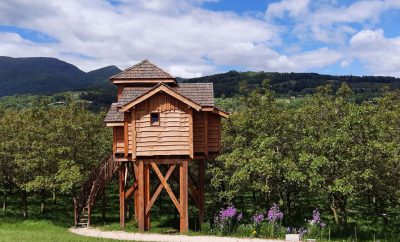 La Cabane le Nid du Pinson