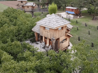 Cabane en bois perchée, entourée darbres, offrant une vue paisible sur la nature.