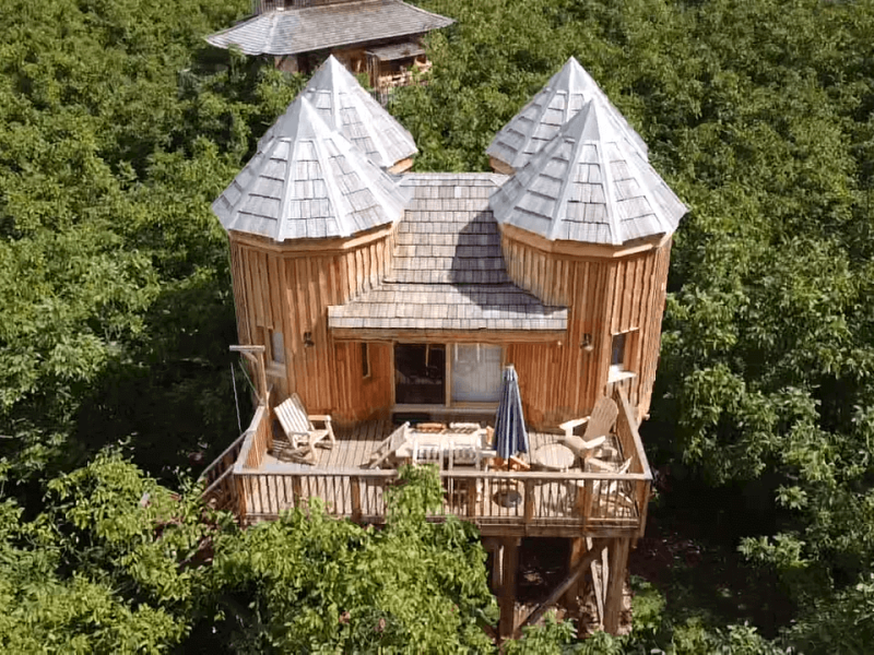 Cabane perchée en bois avec toits en pointe, entourée de vergers verdoyants.