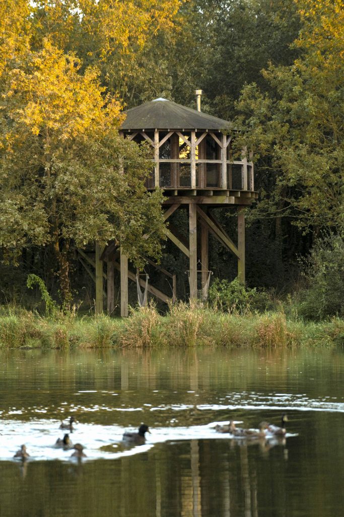 Cabane perchée à moins d'une heure de Nantes
