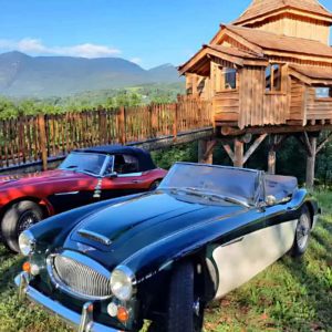 Voiture-Tiny-Exter-1-1