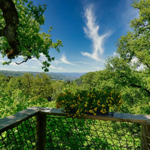 Cabane en bois avec vue panoramique sur la vallée et des fleurs colorées sur la terrasse.