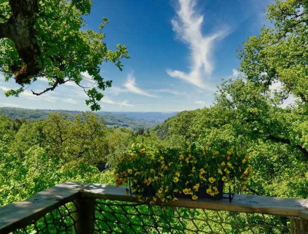 Cabane en bois avec vue panoramique sur la vallée et des fleurs colorées sur la terrasse.