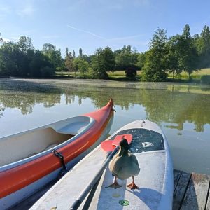 WhatsApp Image 2025-05-18 à 09.24.12_e4a5b630