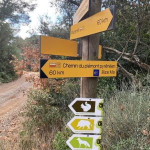 ballade les cabanes dans les bois (3)