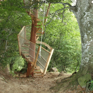 Cabane dans les arbres avec un escalier en bois, entourée de verdure.