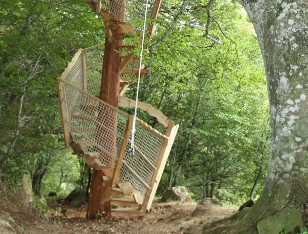 Cabane dans les arbres avec un escalier en bois, entourée de verdure.