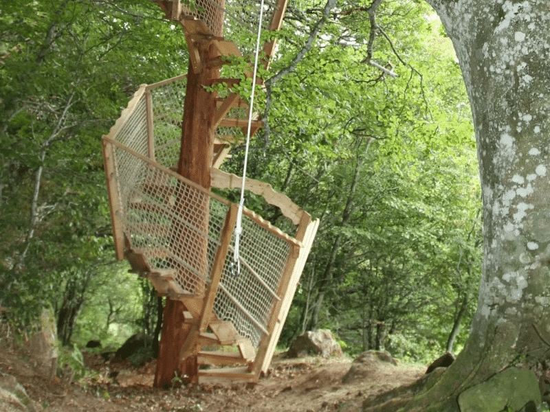 Cabane dans les arbres avec un escalier en bois, entourée de verdure.