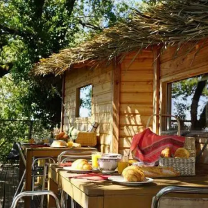 Cabane perchée en bois avec terrasse, vue sur la nature et petit-déjeuner appétissant.