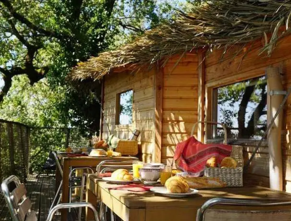 Cabane perchée en bois avec terrasse, vue sur la nature et petit-déjeuner appétissant.