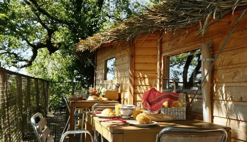 Cabane perchée en bois avec terrasse, vue sur la nature et petit-déjeuner appétissant.