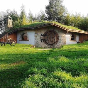 Hébergement en forme de maison de hobbit, avec toit en herbe et fenêtres arrondies.