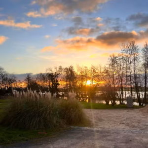 Coucher de soleil sur un camping au bord de leau, entouré de verdure.