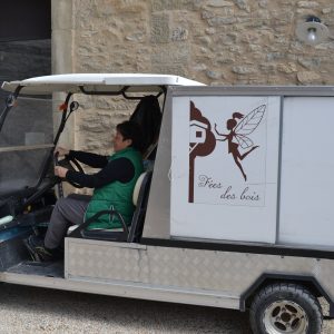 golfette les cabanes dans les bois (2)