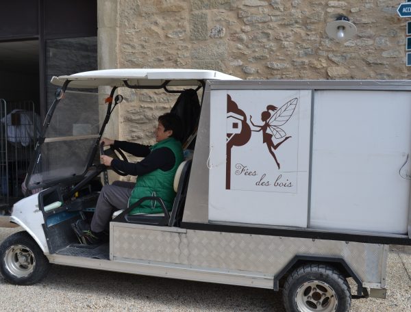 golfette les cabanes dans les bois (2)