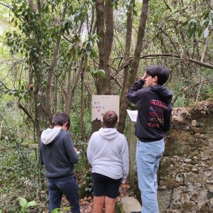 les cabanes dans les bois explore game (5)