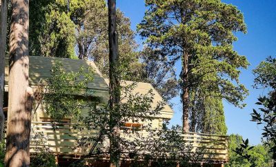 Cabane Cahûte – Les Cabanes dans les Bois