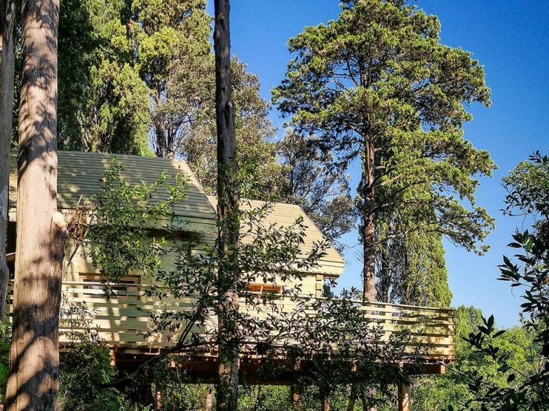 Cabane perchée dans les arbres, entourée de verdure, avec une terrasse en bois.