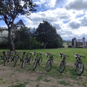 lescabanesdanslesbois velo carcassonne (5)