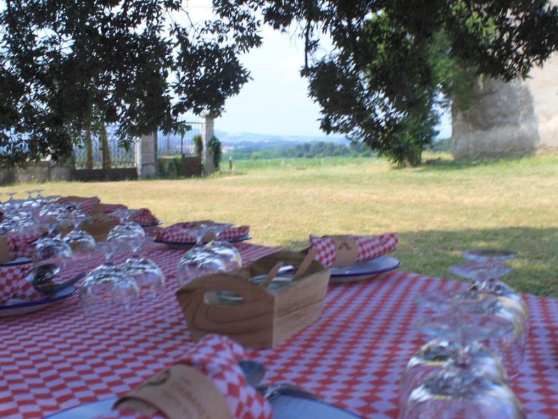 Table en plein air dans un gîte, nappes à carreaux et vue sur la campagne.