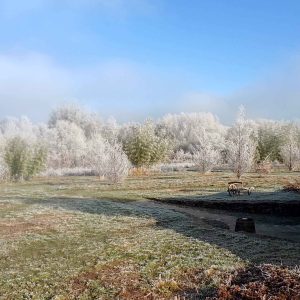 Hébergement insolite en Nouvelle-Aquitaine, cabane au milieu dun paysage givré.