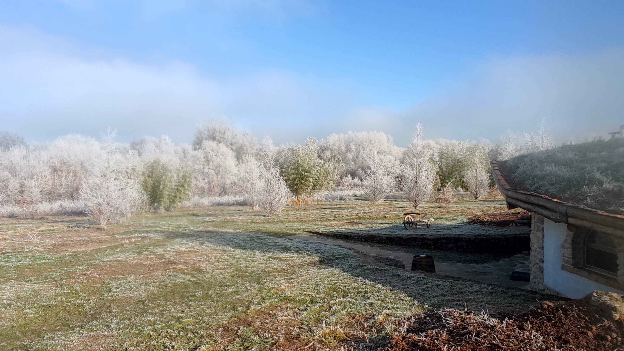 sejour-insolite-parc-nature-bambouseraie