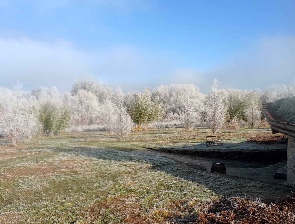 Chalet en bois entouré dun paysage hivernal gelé et darbres givrés.