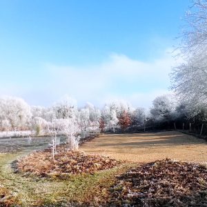Hébergement insolite en Nouvelle-Aquitaine, avec un paysage hivernal et des arbres givrés.