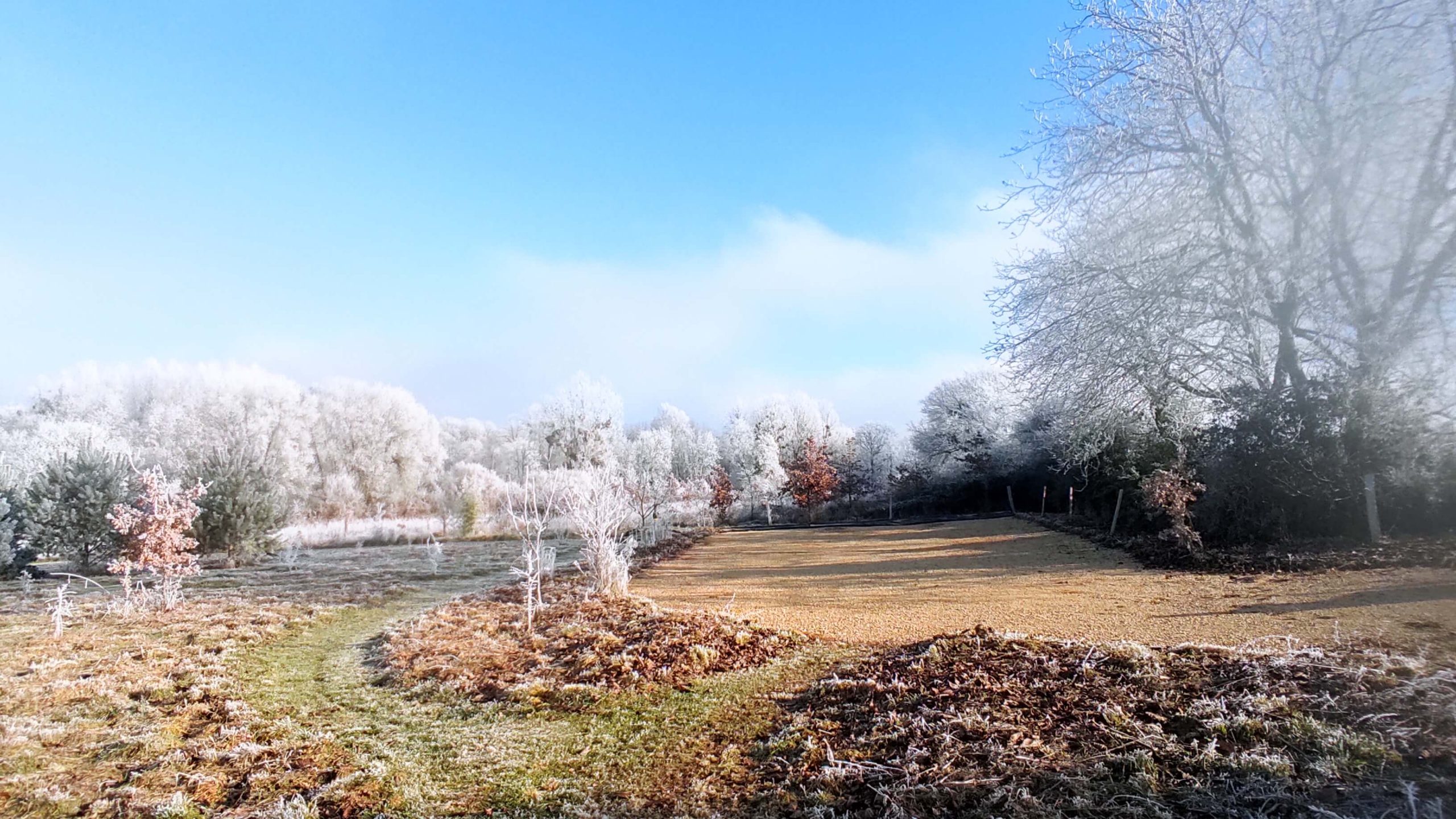sejour-insolite-parking-vienne-futuroscope
