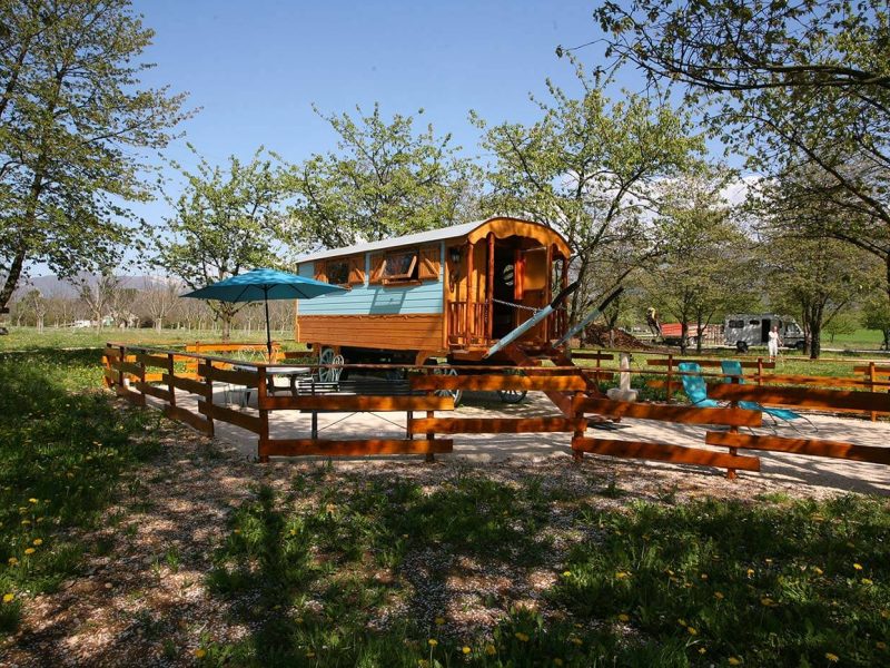 Roulotte en bois entourée darbres, avec terrasse et parasol. Idéal pour un séjour nature.