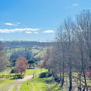 vue-foret-montagne-cabane-pyrenees – Modifié – Modifié
