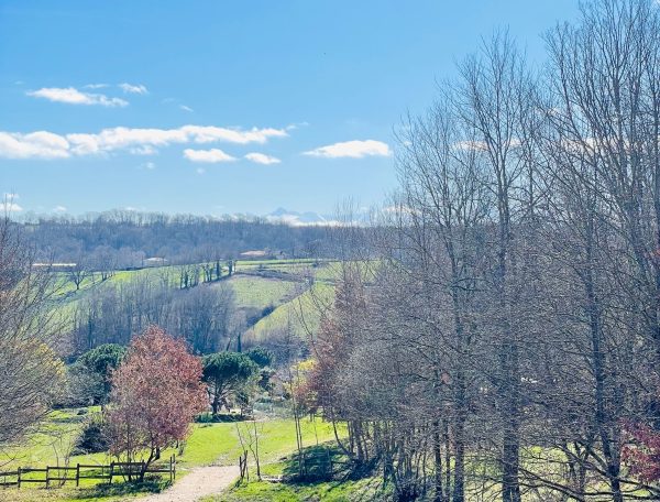 vue-foret-montagne-cabane-pyrenees - Modifié - Modifié