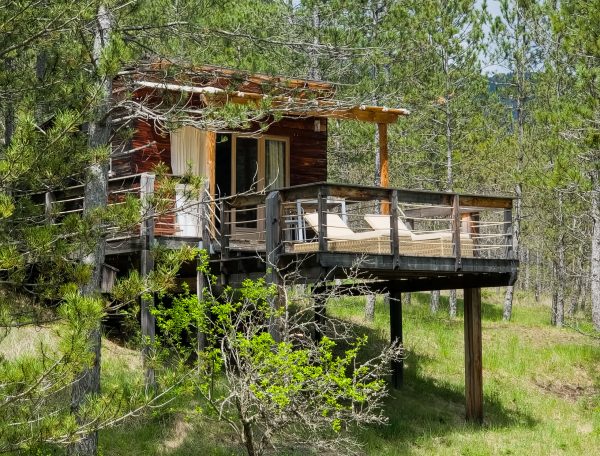 Cabane sur pilotis en bois, entourée de verdure, avec terrasse ensoleillée.