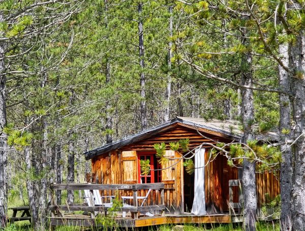 Chalet en bois niché parmi les arbres, avec terrasse en bois accueillante.