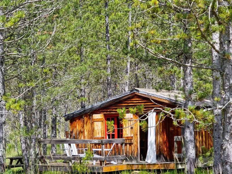 Chalet en bois niché parmi les arbres, avec terrasse en bois accueillante.