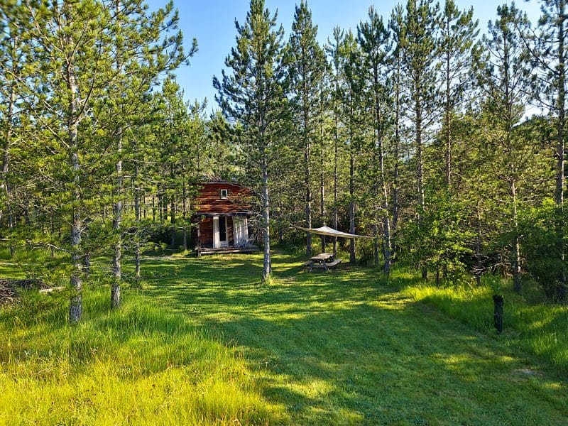 Cabane en bois nichée dans la forêt, entourée de pins et dun espace verdoyant.