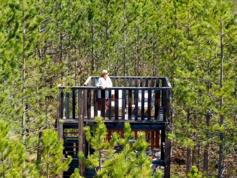 Cabane perchée dans les arbres avec terrasse et vue sur la forêt verdoyante.