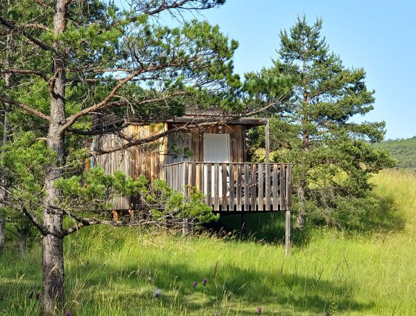 Cabane en bois perchée, entourée de verdure et de pins, offrant un cadre naturel paisible.